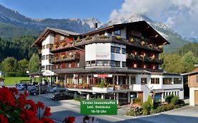 Scheffau Hotel Alpin